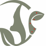 Réflexologie plantaire & faciale